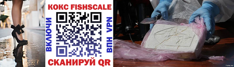 наркота  Камышин  COCAIN FishScale 