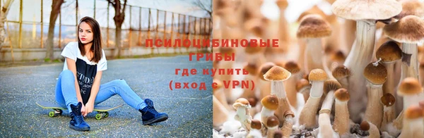 не бодяженный Иноземцево