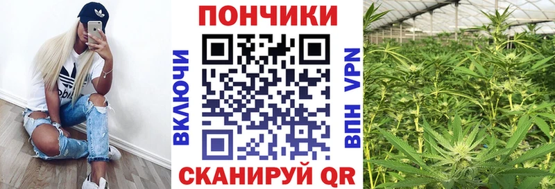 Бошки марихуана планчик  omg вход  Камышин  цены наркотик 